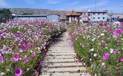 99国精产品灬源码168